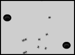 jeu flash ant attack humour insolite