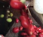 systeme Un système de tri très rapide des tomates